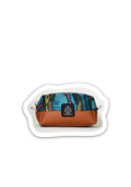 ASTUCCIO BOA