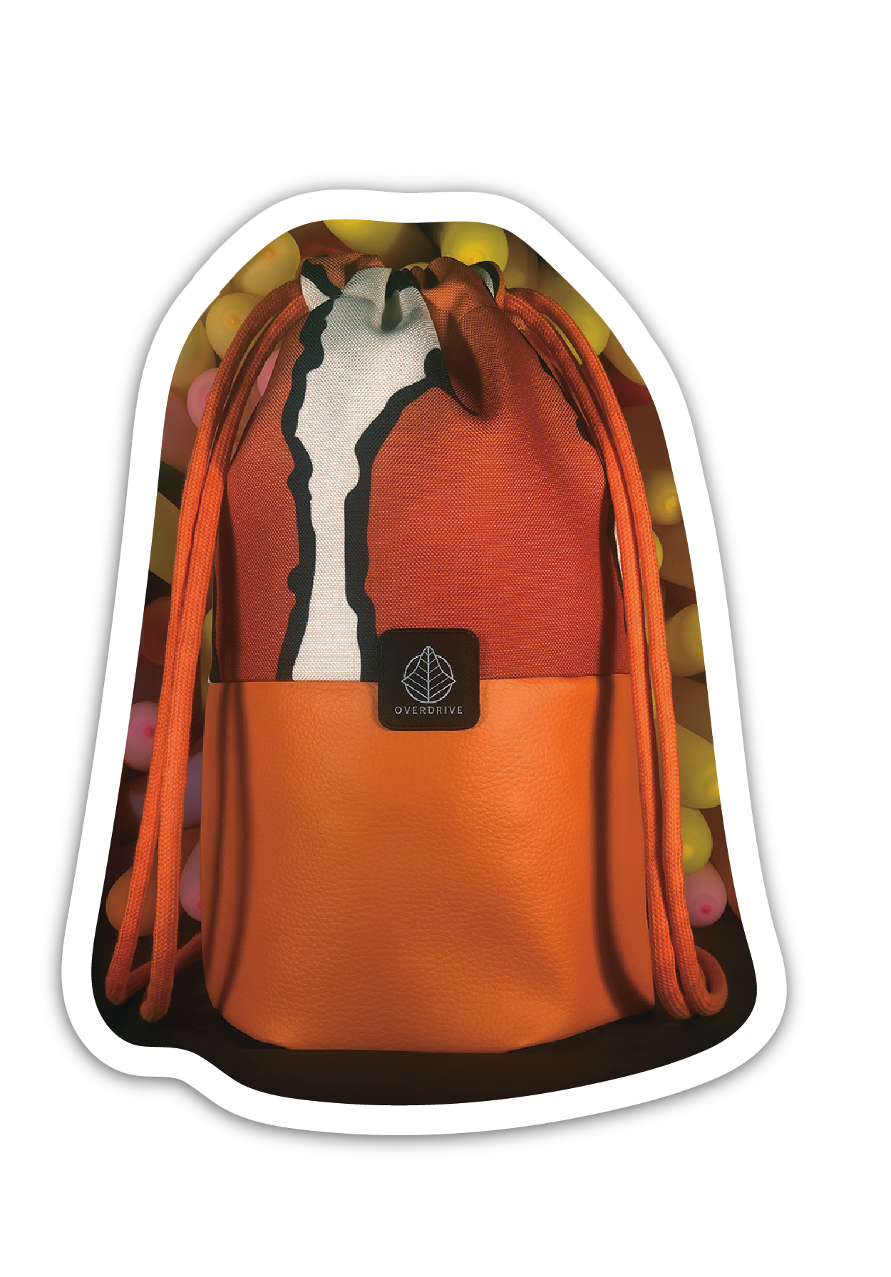 LOACH BAG